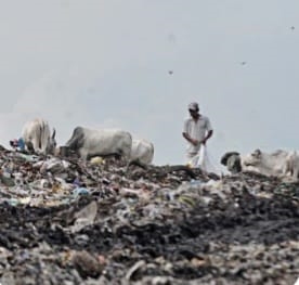  Indonesia’s capital faces serious waste crisis 